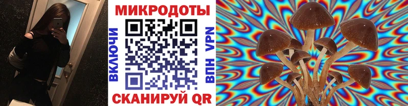 Галлюциногенные грибы прущие грибы  Новодвинск 
